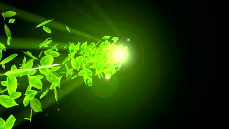 spin of falling green leaves,cg animation,loop