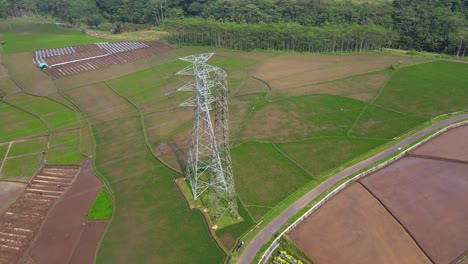 Campo-De-Arroz-De-Sobrevuelo-Con-Torre-De-Electricidad-De-Alto-Voltaje-En-El-Medio---Disparo-De-Drones-En-órbita