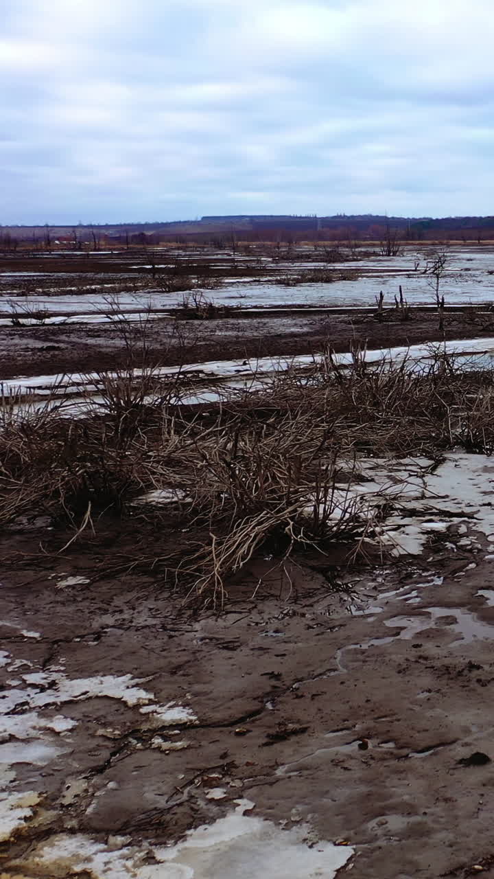 Global water crisis.Contamination of water. Death of plants due to water scarcity. Pollution of lakes and rivers. Environmental problems on Earth. Vertical video
