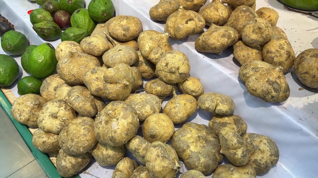 Radici di Jicama Fresche in Mostra al Mercato