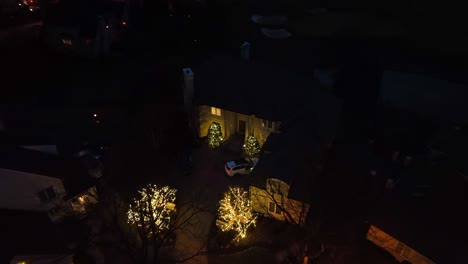 american mansion with christmas lights on trees at night