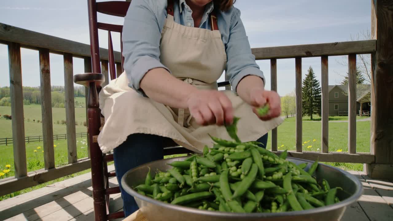 Picking up pod, woman shelling peas into metal bowl on porch, preparing meal, blue shirt apron