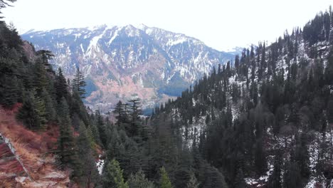 Aerial-Fly-Back-Parallax-Reveal-Shot-of-a-27-year-Old-Indian-Male-Walking-in-the-Ridge-of-a-hill-with-huge-Pine-Trees-covered-with-snow-in-Manali,-Himachal-Pradesh-shot-with-a-drone-in-4k