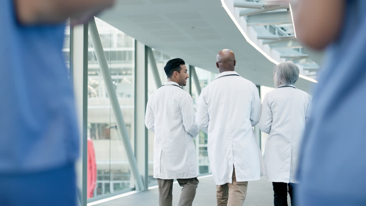 Teamwork, walking or doctors talking