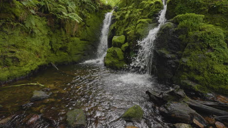 moss covered waterfall in a lush forest