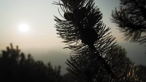 Slow-Motion-View-Down-on-Lake-Garda-in-Italy-Europe---Truck-Shot