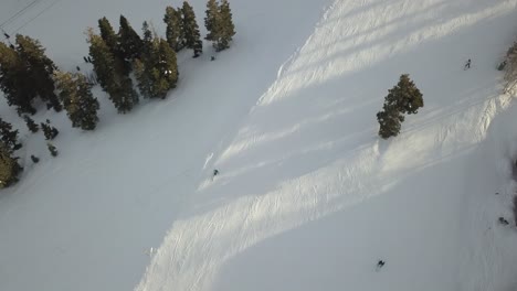 aerial of a skier on a snowy mountain