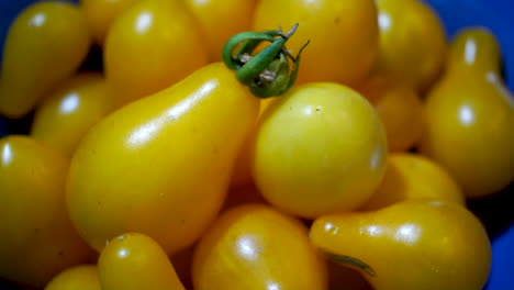 tomates cherry de pera amarilla en un tazón azul, primer plano de detalle