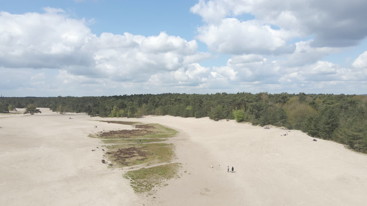 foque hacia abajo sobre hermosas dunas de arena, revelando una pareja con un perro corriendo