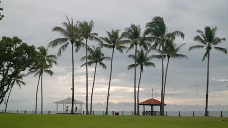 Tanjung-Aru-Beach---Couple-Take-Pictures-at-Sunset,-Tall-Coconut-Palm-Trees-and-Summer-Pavilions-by-the-Sea-with-Dramatic-Skyline-At-Shangri-la-Resort,-Kota-Kinabalu---wide-establishing-view