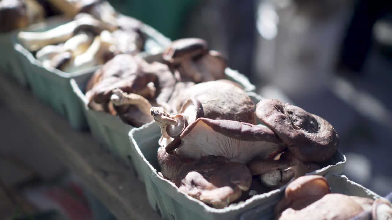 Funghi in contenitori
