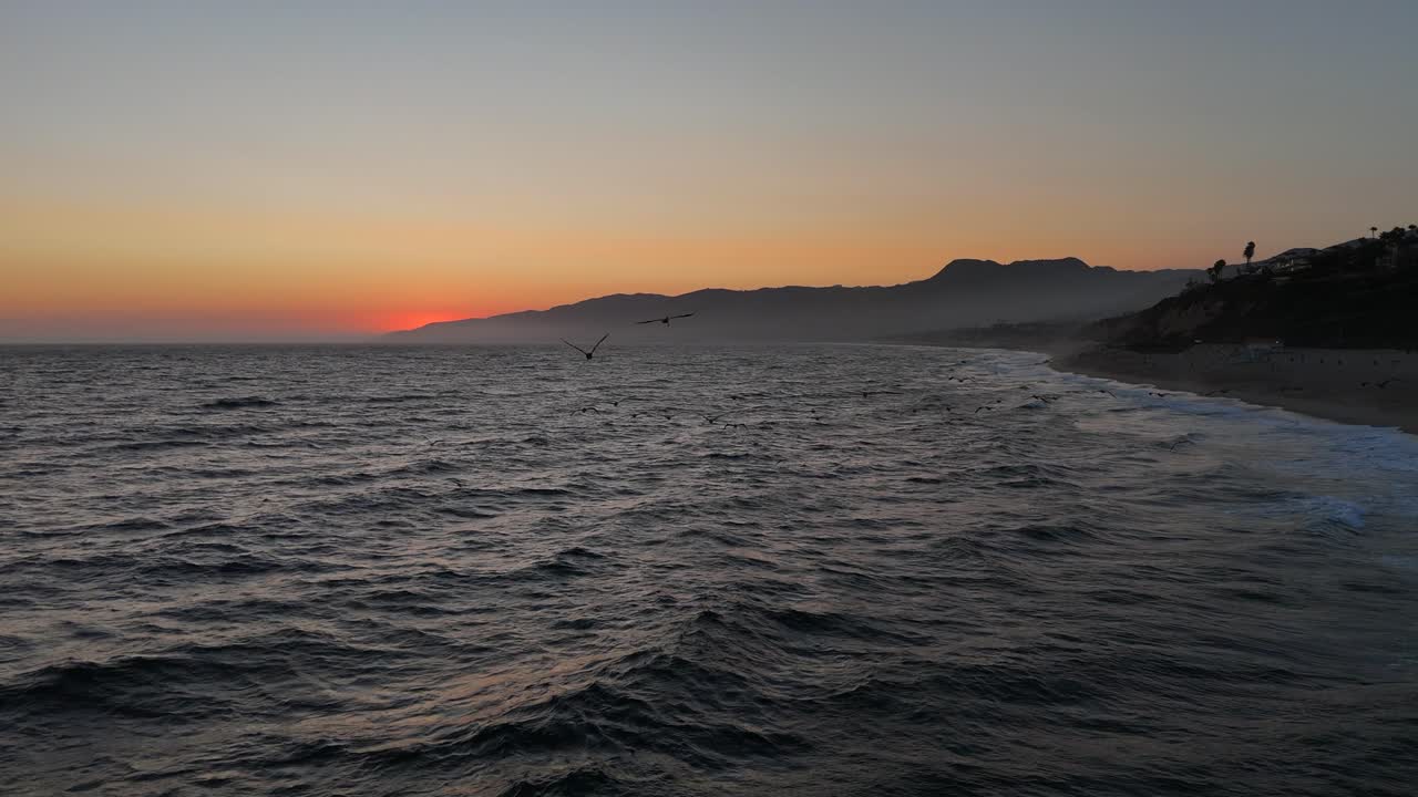 el vuelo sigue a los pelícanos que vuelan al anochecer frente a la costa de malibu, california.