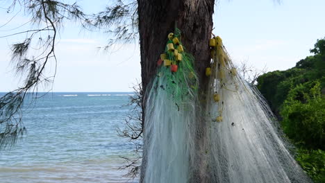 a fishing net net hangs on a tree on an indian ocean beachside in kilifi, kenya. slider version.