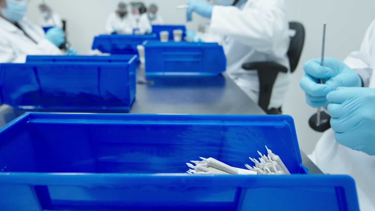 실험실 재과 파란색 의료 장갑을 입은 실험실 기술자는 대마초 사전 롤을 고 뒤집고 파란색 쓰레기통에 넣습니다.