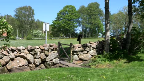 muro de piedra en el campo en un hermoso día, suecia, panorámico de tiro ancho a la derecha