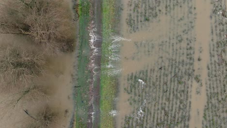 medium aerial birdseye view of flood waters overrunning a levy and flooding a farm field along the waal river near the town of gorinchem after heavy rains hit northern europe
