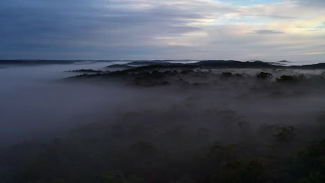 Aerial:-Flying-over-a-foggy-forest-in-Australia-with-the-trees-barely-visible-in-the-mist