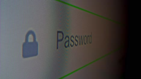 password input field on computer screen