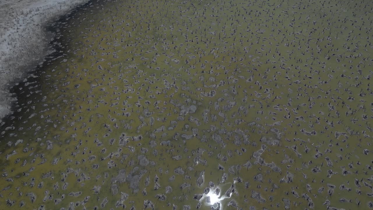 imágenes de drones descendiendo sobre los muertos secó el lago taarbin en australia occidental