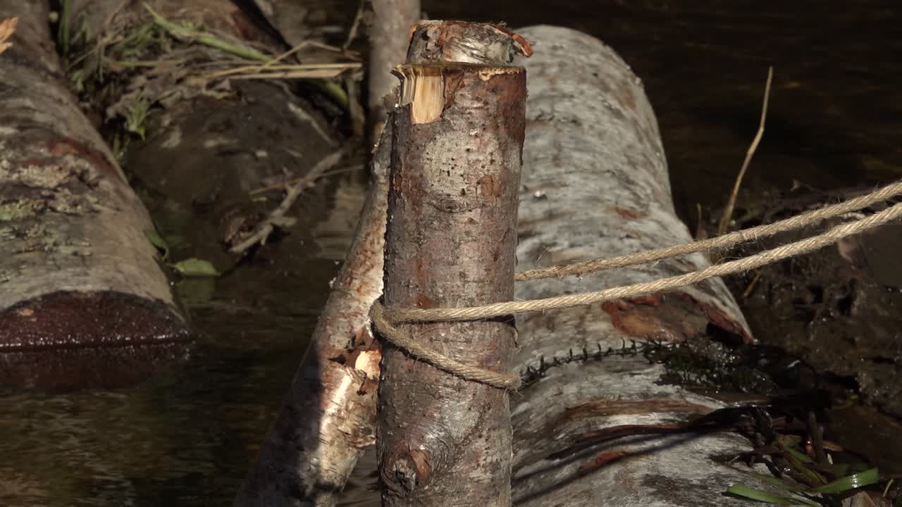 작은 개울이 있는 연어 강-20