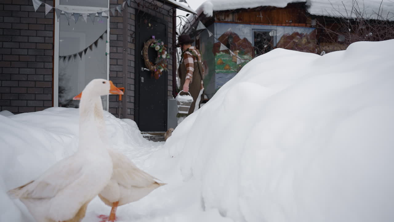 Nature enthusiast heaping snow with bare hands into bucket on snowy path as dog jumps excitedly beside, snow drifts lining way, rustic house backdrop, woman finishing chore closing door behind