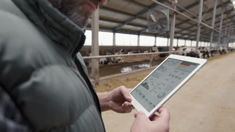 man with tablet at dairy farm