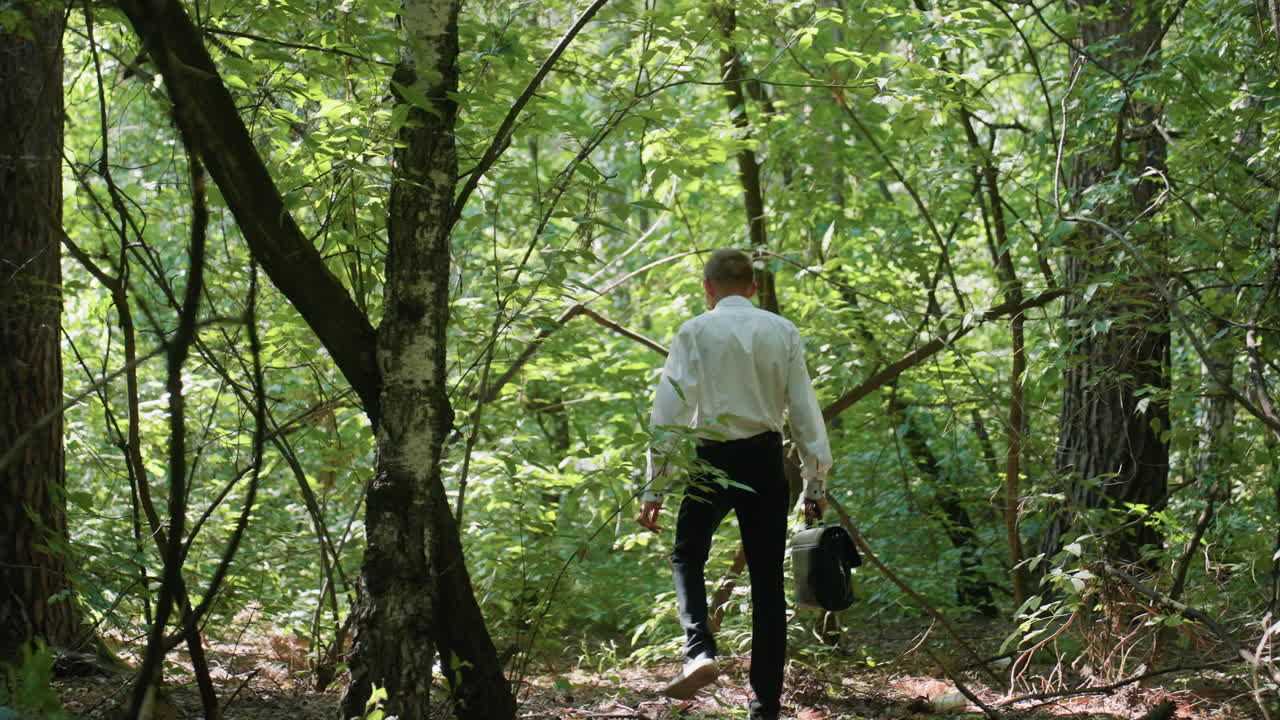 Back view of scientific researcher in white shirt carrying backpack while walking carefully through dense green forest under daylight, surrounded by lush trees and vegetation in wilderness