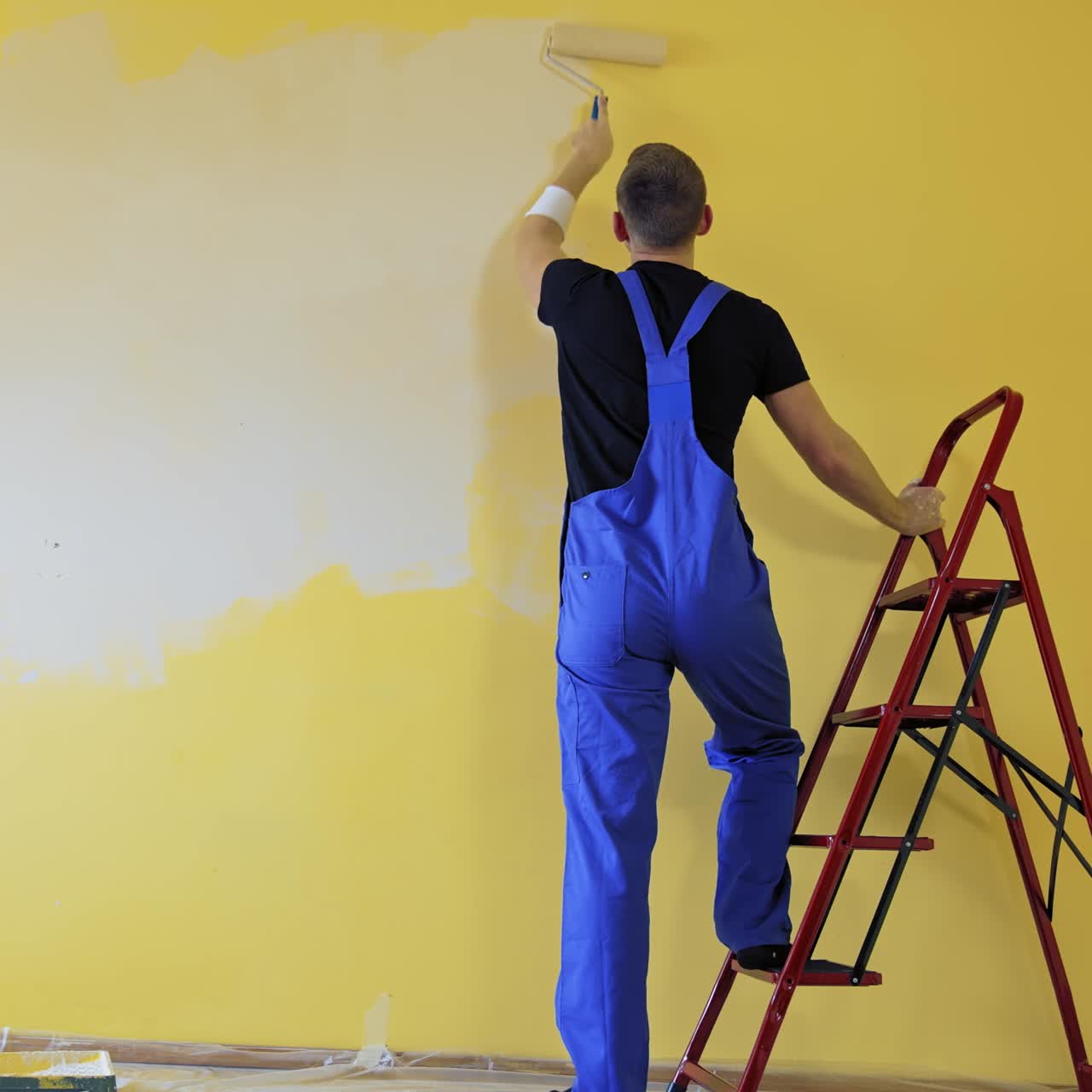 Craftsman painting walls near the building ladder. Professional painter in blue overalls doing a renovation in the room with a paint roller. Rear view