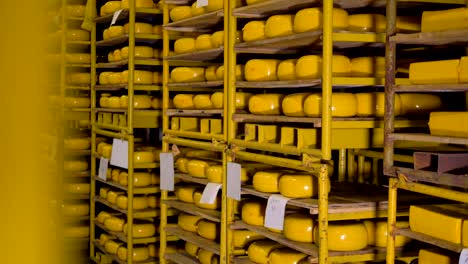 a cheese holding warehouse with wheels ready for shipment.