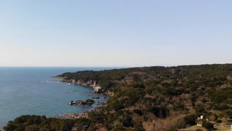 antena de rotación lenta sobre la isla con una densa vegetación forestal y el océano