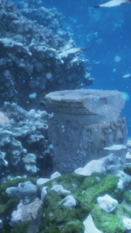 underwater scene with coral, fish, and an ancient column