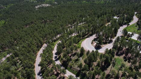 custer state park, south dakota usa