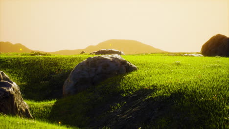 isolated stone on meadow in mountains