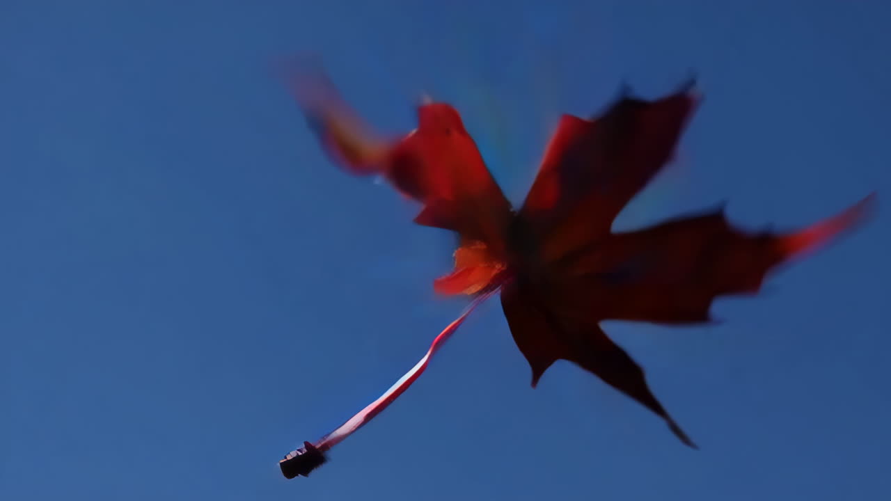 Autumn Leaf Against a Blue Sky