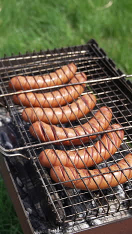 tasty juicy sausages grilling over a fire in smoke. hot dog sausages on a grill grate cooking on the green grass background. barbeque in summer. vertical video