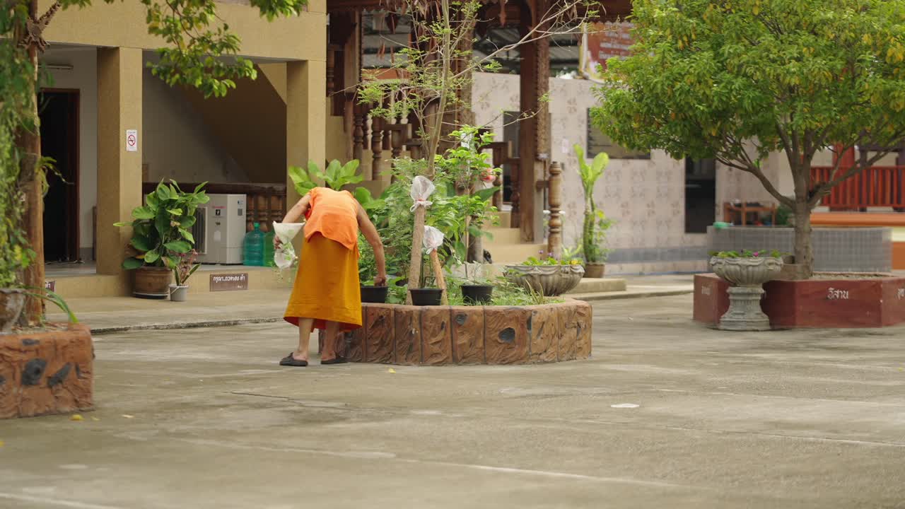 Monk Tending to Potted Plants in a Temple Courtyard