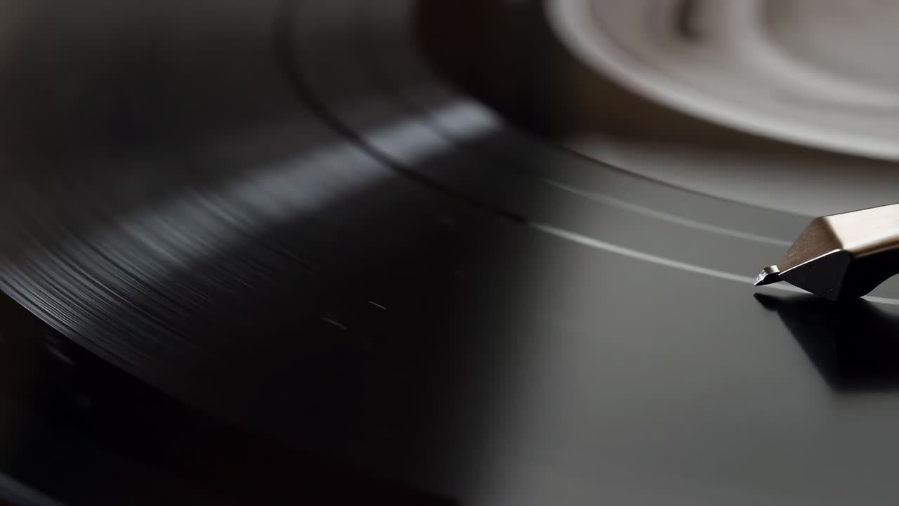 Puntina del giradischi su disco in vinile