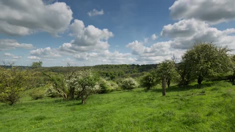 english countryside 04