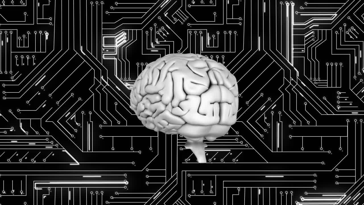 뇌와 디지털 회로