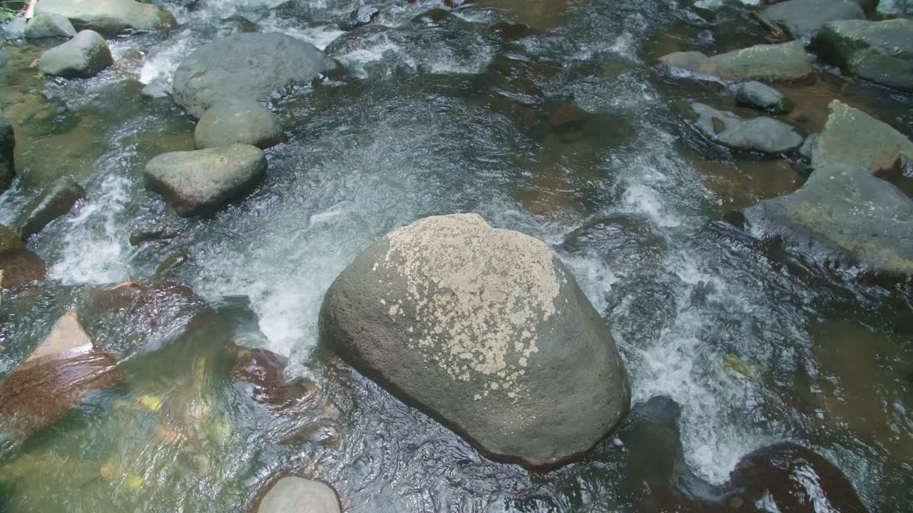 북발리의 평화로운 강: 자연의 조용한 피난처