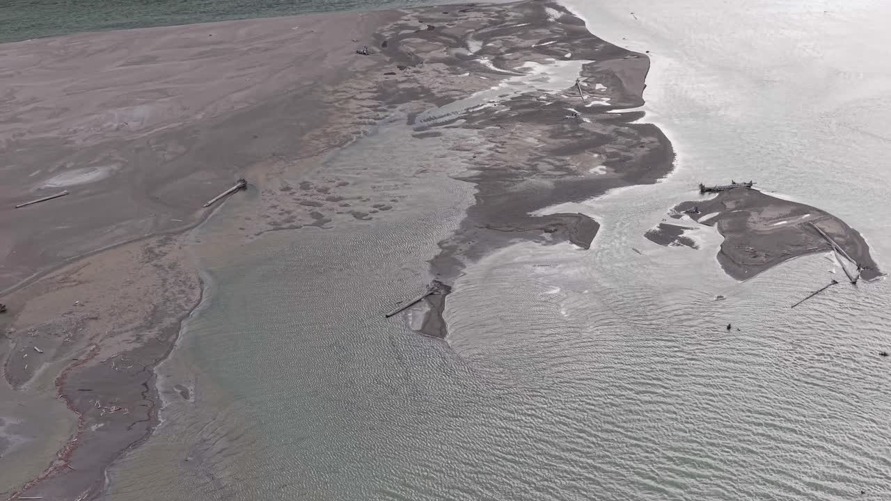 Aerial view of a river delta with driftwood in British Columbia, Canada.