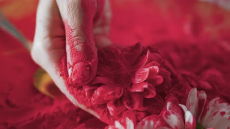 cinematic closeup of a woman coating white flowers with gulal before the very famous holi festival takes place in a poor city in india