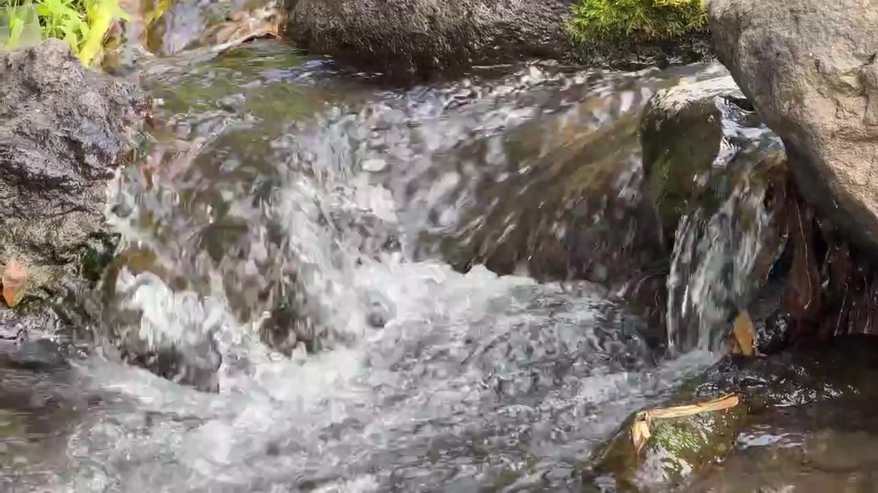 Small Stream Flowing Over Rocks in a Forest