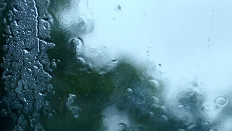 heavy raindrops fall on window with blurry view of garden in background