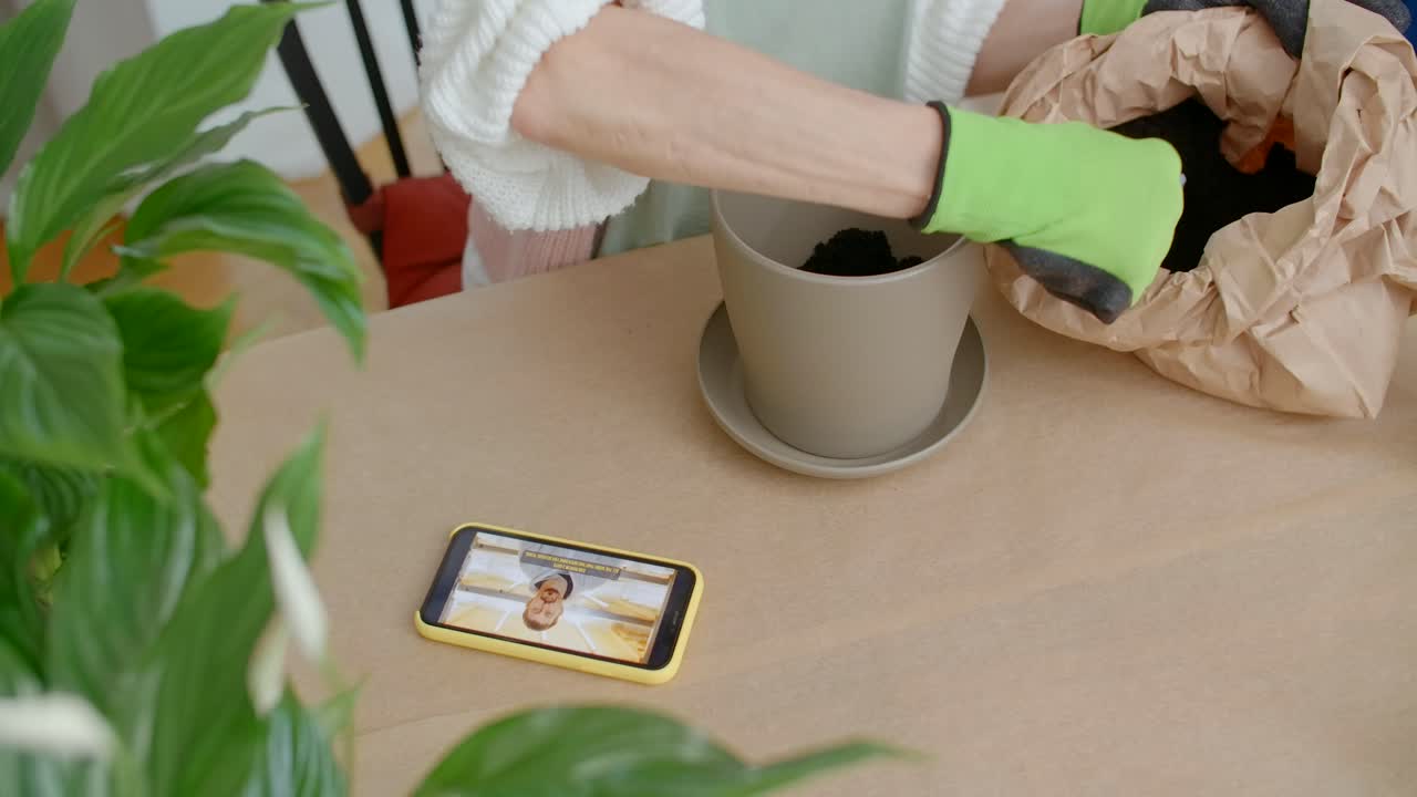 Learning to Repot a Houseplant