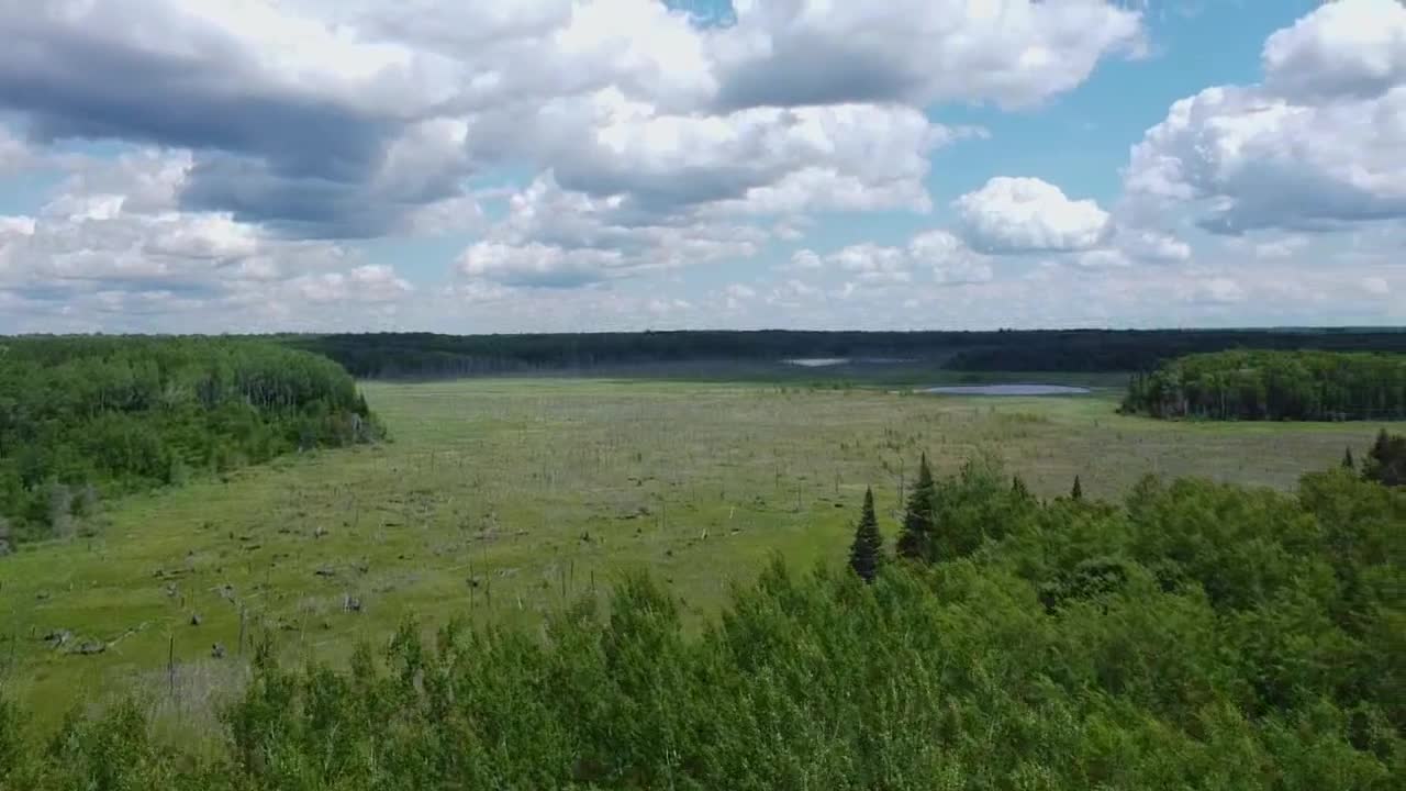 antena de un pantano de gran apertura