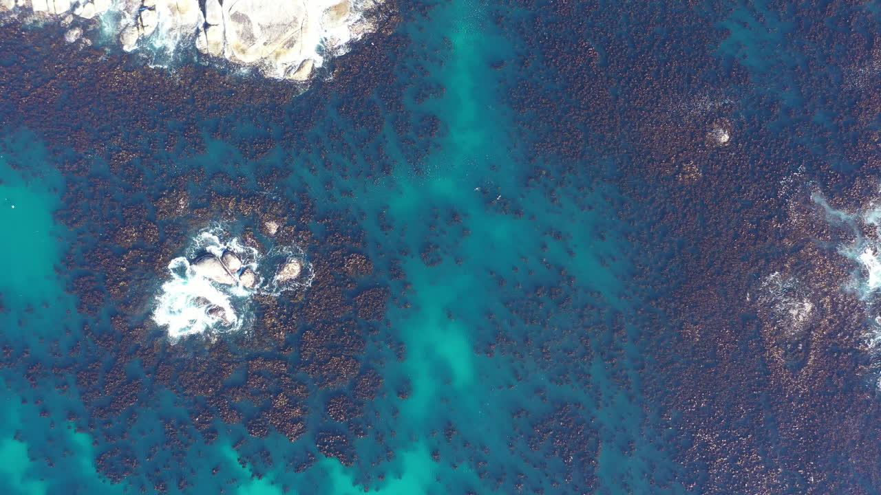 Aerial drone footage showcases the stunning coastline of South Africa capturing