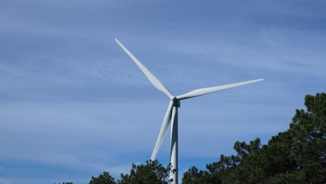 single wind turbine moving with blue sky and some clouds behind and pine forest below