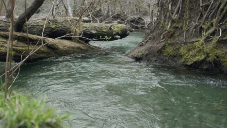 a meandering stream gracefully winds through the landscape, its waters glistening under the sun's gentle caress. it navigates its path with quiet determination to intimate in peaceful presence.