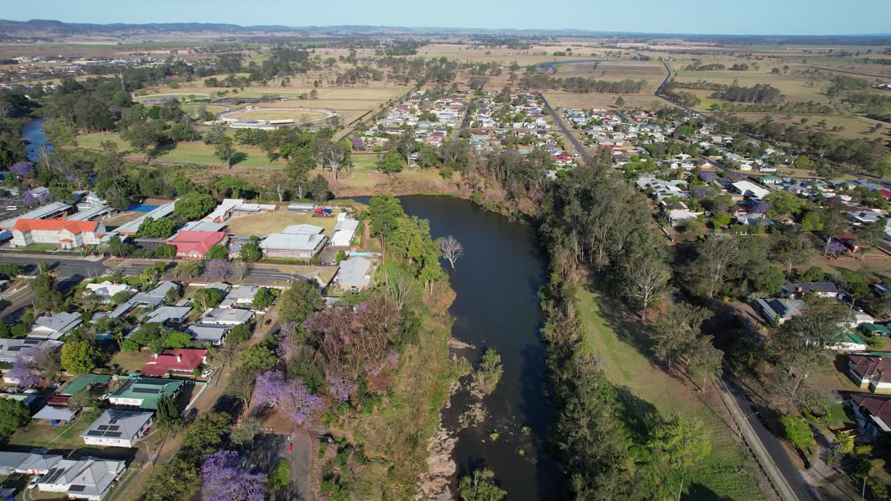 árboles de jacaranda y edificios en la orilla del río